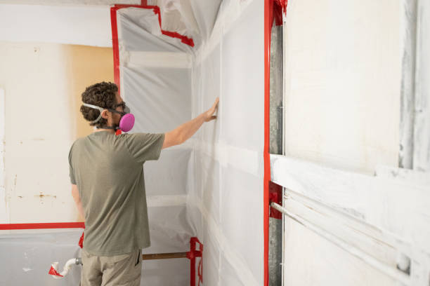 Best Emergency Mold Remediation  in Fredonia, AZ