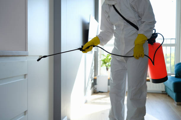 Best Forensic Mold Investigation  in Fredonia, AZ