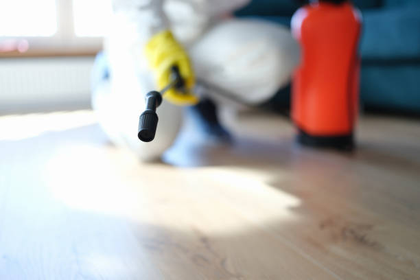 Asbestos and Lead Testing During Mold Inspection in Fredonia, AZ
